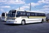 command419_BH.jpg