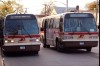 Jamaica582_Q111_LindenRockawayBlvd_4-29-04mp.jpg