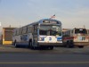 MTABus7359_BaisleyPark_01302006JC.jpg