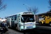 RIPTA6060_1978JC.jpg