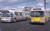 MBTA6167_9315atArborwayYard10-4-80DG.jpg