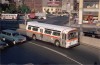 BergenAve7433_HollandTunCanalSt_6-13-80DG.jpg