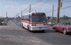 QueensTransit1_Q65_CPBlvd_31Ave_6-28-79DG.jpg