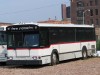 WillTrolley107_5-7-04mp.jpg