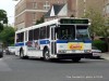 161Bx10_06212008JC.jpg