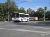 6254Bx3IMG_1193.jpg