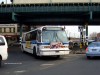 9173BX21RTSCIMG2752.jpg