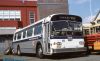 AroCoaches7310Flximg035.jpg
