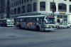 CTA0442.jpg