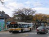 MBTA0768_rt66_HarvardCoolidge_10192008mp.jpg