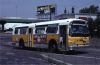 MBTA7622onRt112atWoodIslandStation7-31-79DG.jpg