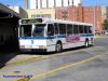 MTABus410Q9IMG_1484.jpg