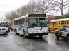 MTAbus5896X32IMG_2454.jpg