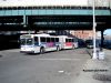 NYCBus1019Bx12IMG_2053.jpg