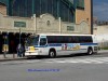 NYCBus8528_B36Surf_05212008JC.jpg