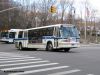 NYCBus8920Bx31_1-20-10JC.jpg