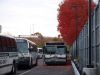 RIPTA0479_Melrose_11-13-11mp.JPG