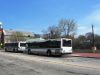 RIPTA0923r_RoosMain_4-8-10mp.JPG