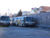 RIPTA9836_Melrose_2-7-10mp.jpg