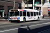 Septa8002.jpg