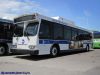 mtabus3612nisIMG_5258.jpg