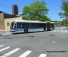 nycbus1236turncropDSCN0121.jpg