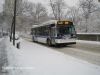 nycbus4348bx20IMG_2295.jpg