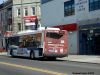 nycbus4599rearDSCN3585.jpg