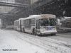 nycbus5709bx1bwayIMG_2264.jpg