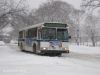 nycbus6117bx16IMG_2337.jpg