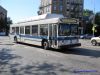 nycbus812bx35IMG_8143.jpg