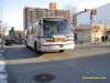 nycbus8798bx36IMG_7168.jpg