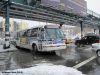 nycbus8896bx36IMG_2370.jpg