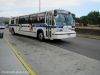 nycbus9248Q50IMG_5332.jpg