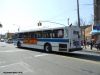 nycbus9842rearDSCN3582.jpg