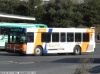 pvta1553p.jpg