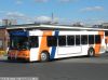 pvta1633p.jpg