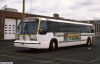 ripta_8102f.JPG