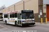 septa_5344a.JPG