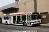 septa_5502a.JPG