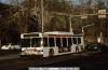 septa_5902a.JPG