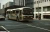 septa_6224_f.JPG