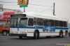 7224-DSC_8883a.jpg