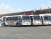 9741-dsc01520akn5.jpg