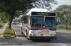 LIB173-dsc4808aiq3.jpg