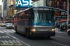 NYAS164-dsc7194a.jpg