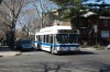 dsc0915iy9.jpg