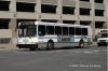 NFTA9515_083109_JDevlin.jpg