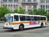 NFTA_912.JPG