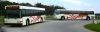 Walt_Disney_World_Gillig_4932.jpg